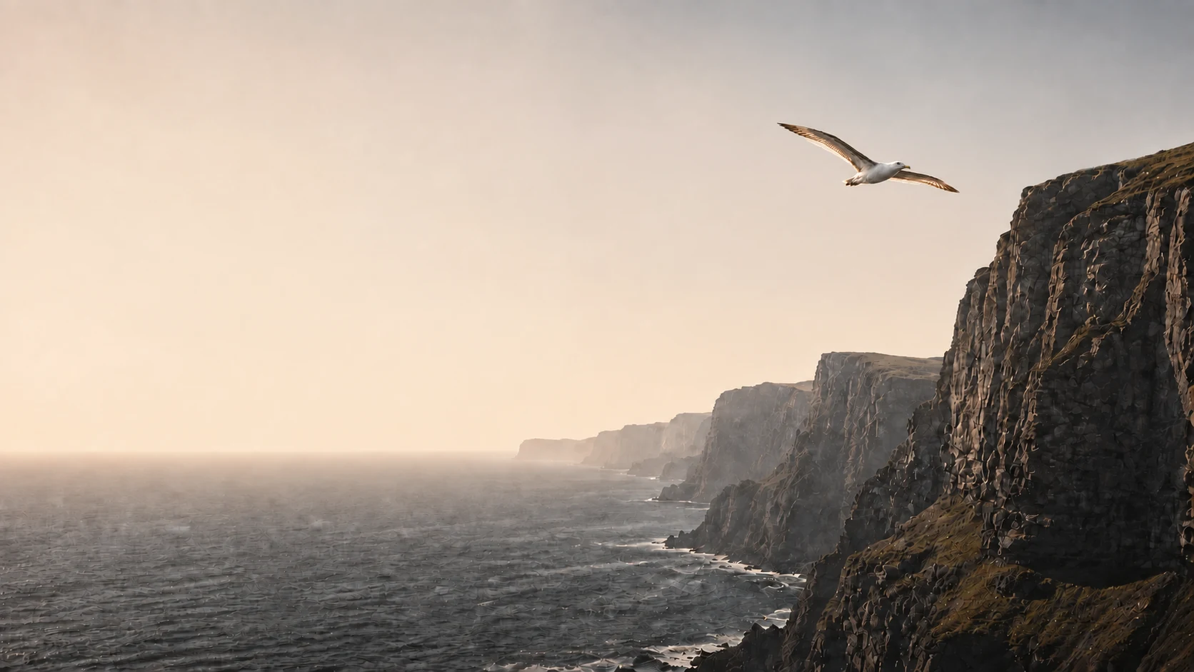 An albatross gliding over the sea beside coastal cliffs